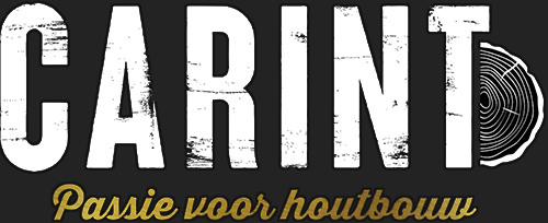 Carint logo Bram Adriaanse